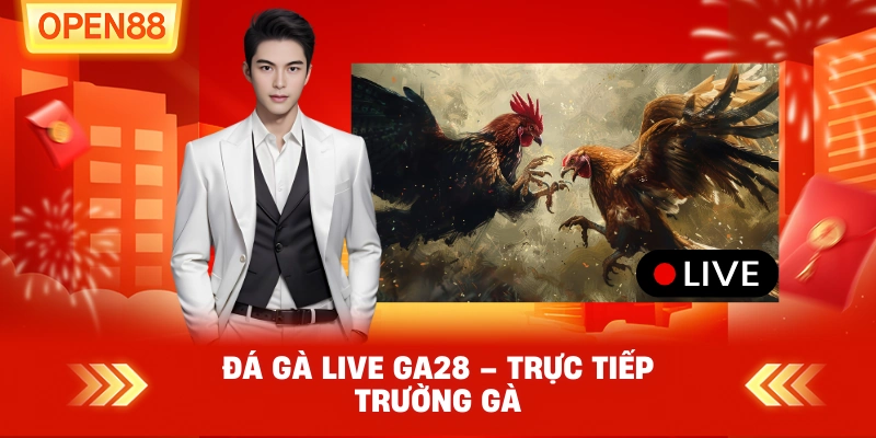 Đá Gà Live GA28 – Trực Tiếp Trường Gà