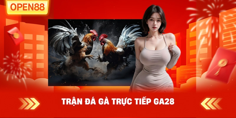 Trận Đá Gà Trực Tiếp GA28